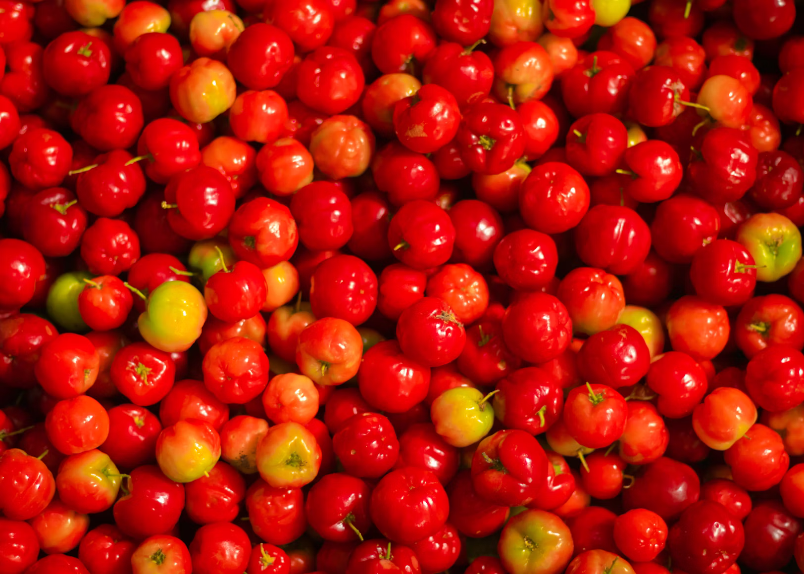 Extrato de Acerola
