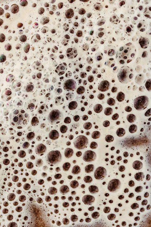 Extrato de Levedura