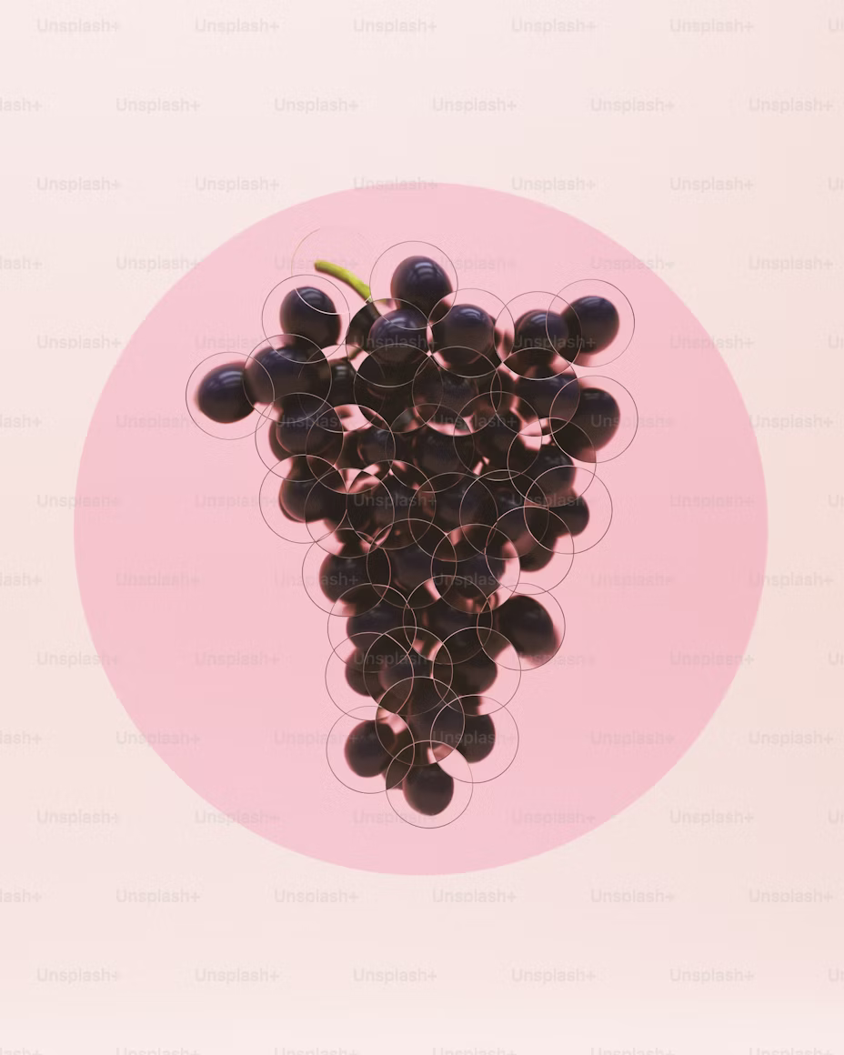 Resveratrol